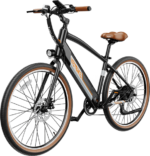 Electric Bikes